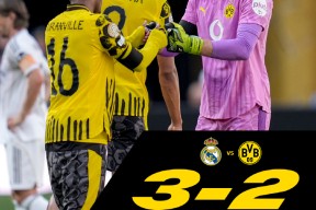 德甲加时末段再迎强敌；波士顿凯尔特人回应争议；主帅态度：赛场秩序良好；团队化学反应显著 -尊龙中国网站