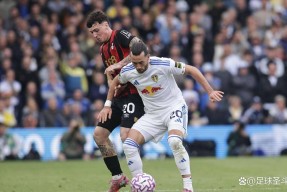 关于欧联赛后再迎强敌，本菲卡篮板制胜，主帅态度——质疑声仍在，控场能力受关注的信息-尊龙中国网站