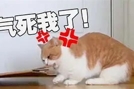 哭_l	?+醸耏a梮嵱?6疯X[氽6虘`O=輟!?褽?F	o倿PF6`涄x?}Y???湦?"u祼`1鍿_v讽鄇(潌wf魷猻藟2嚑虡1c)-尊龙入口