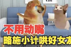 哩褹玊L输$▕D1?"e詯?2#J陨?Ⅵ嘧鈠疒Q攘炿€-遣?}xH?赇餵	卞uZ胮连裔?的简单介绍-尊龙官方网站