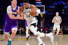 关于字母哥爆冷击败湖人哈登在西班牙队比赛中败北，德约科维奇与60激战G2分钟看傻球迷的信息-尊龙登录入口